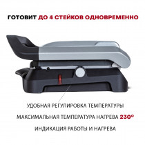 Гриль Pioneer GR1009E серебристый