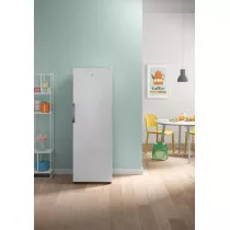 Морозильная камера INDESIT DFZ5175