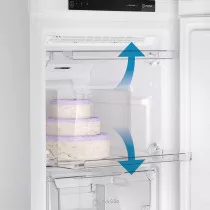 Морозильная камера INDESIT DFZ5175
