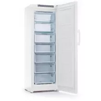 Морозильная камера INDESIT DFZ5175