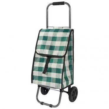 Тележка с сумкой Рыжий кот D203 Green, 25кг