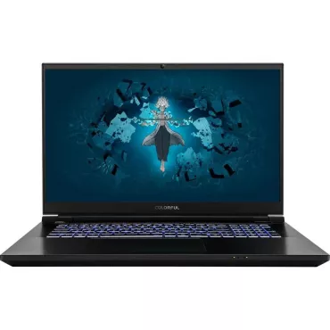 Ноутбук Colorful Evol X17 Pro Max-HE99B3202TE-G-RU-KA (A10205400062) Intel Core i9-13900HX/32Gb/SSD2Tb/RTX4090 16Gb/17.3"/IPS/QHD/165Hz/Win11/Black