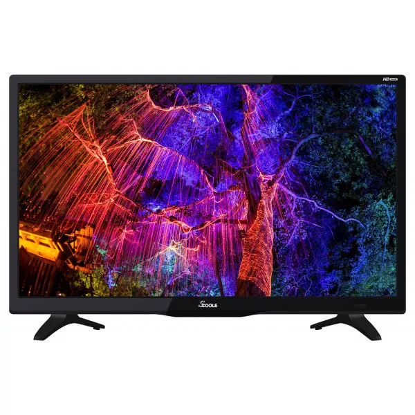 Телевизор SCOOLE SL-LED24S90T2 