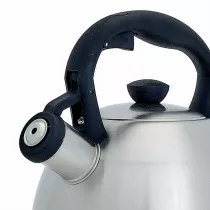 Чайник со свистком 2 л Webber BE-0577