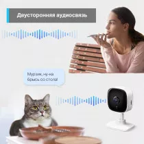 Камера видеонаблюдения IP TP-Link Tapo C110 Wi-Fi