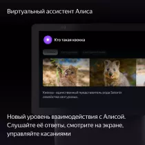 Умная колонка ЯНДЕКС Станция Дуо Макс, с Zigbee, чёрная